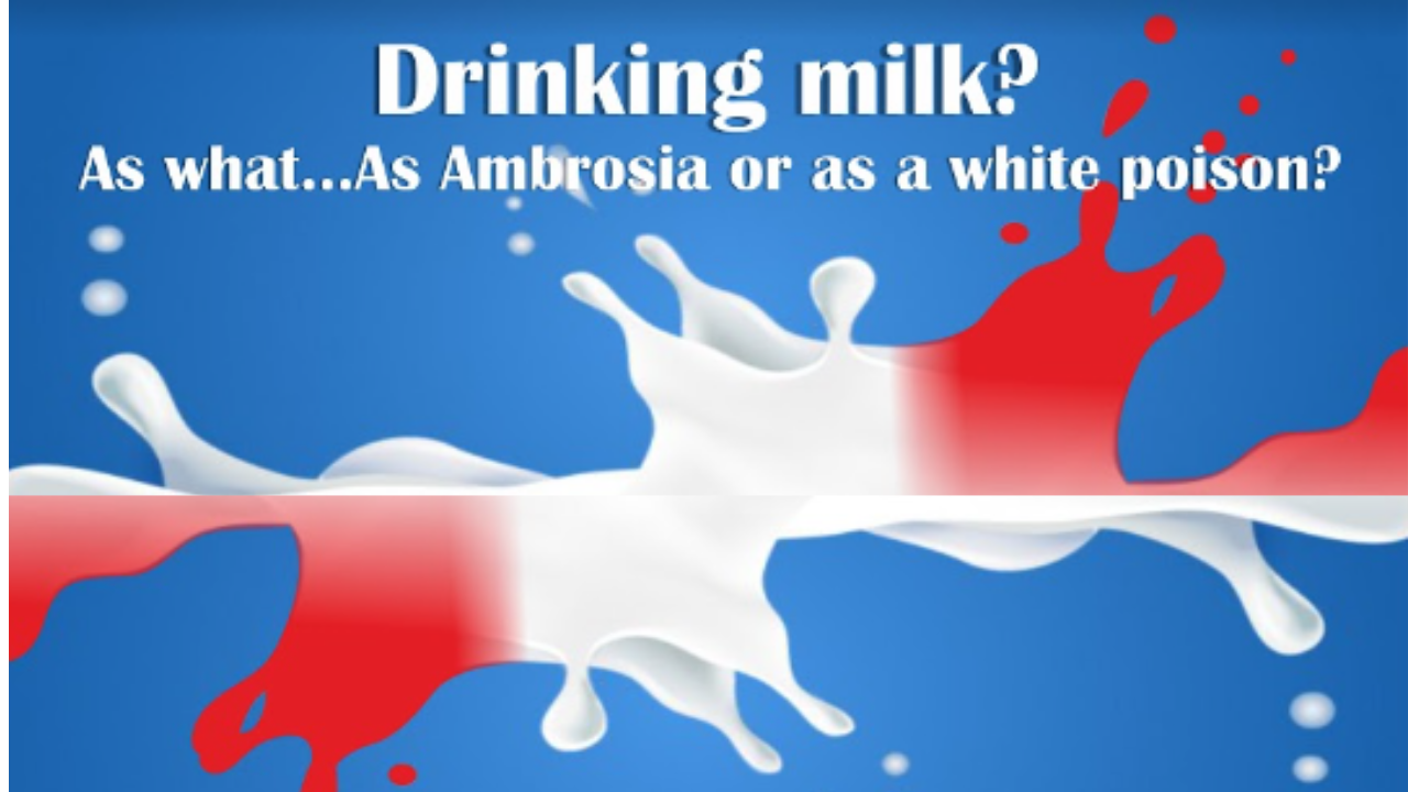 Drinking milk? As what…As Ambrosia or as a white poison?